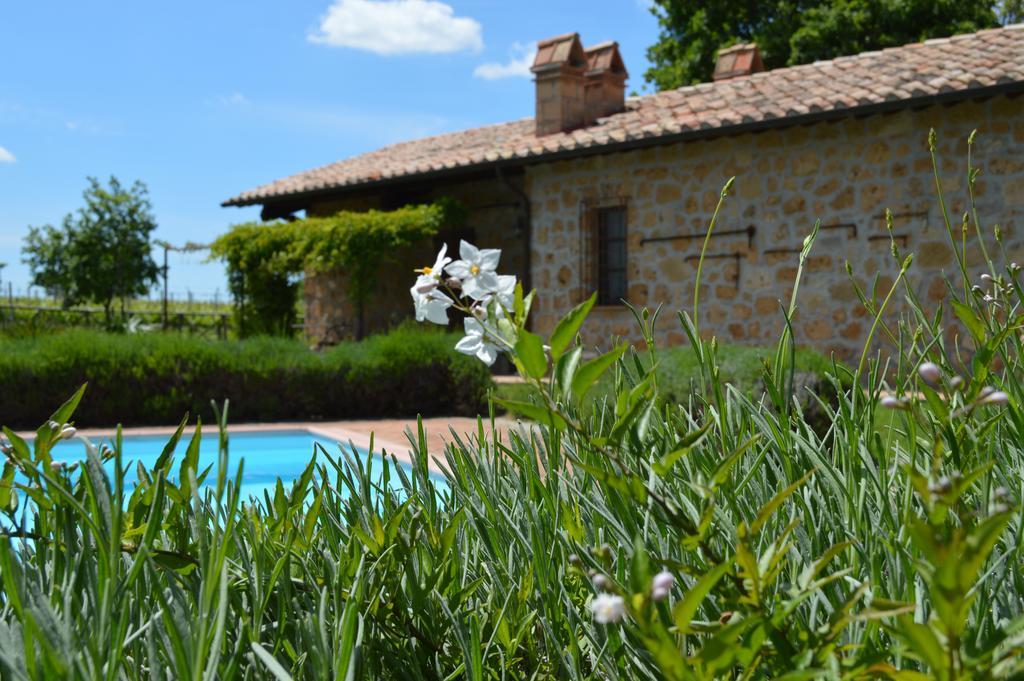 Agriturismo Eco-Bio Villa Vacasio Pitigliano Buitenkant foto