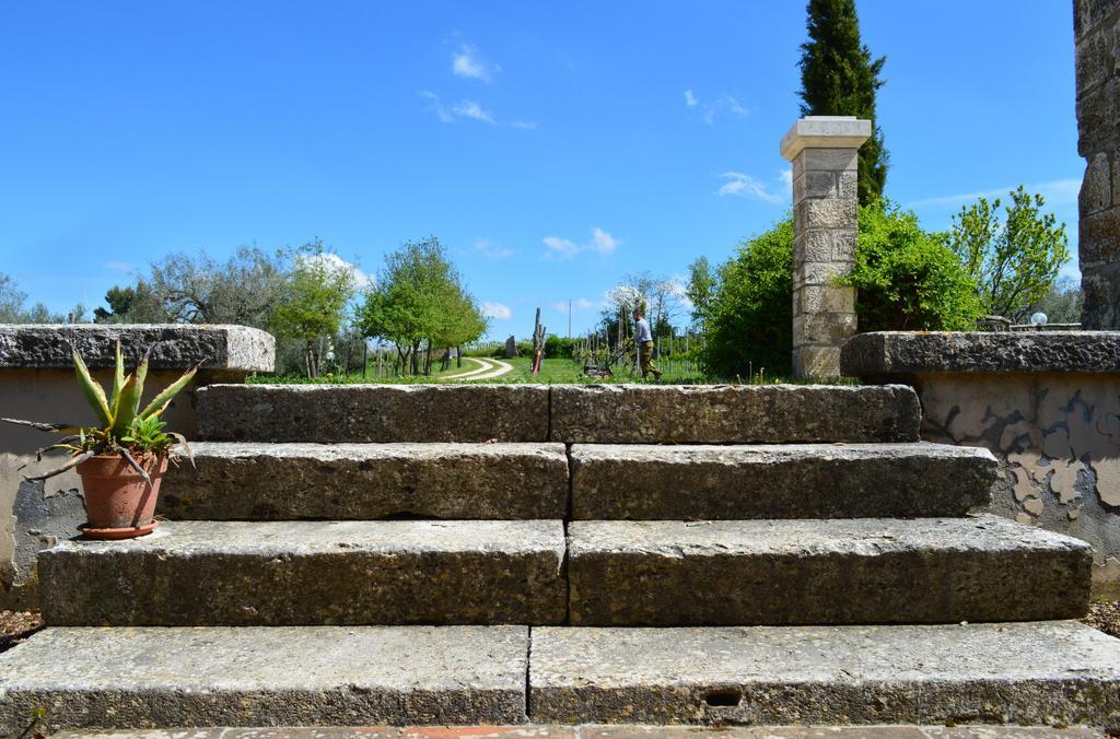 Agriturismo Eco-Bio Villa Vacasio Pitigliano Buitenkant foto