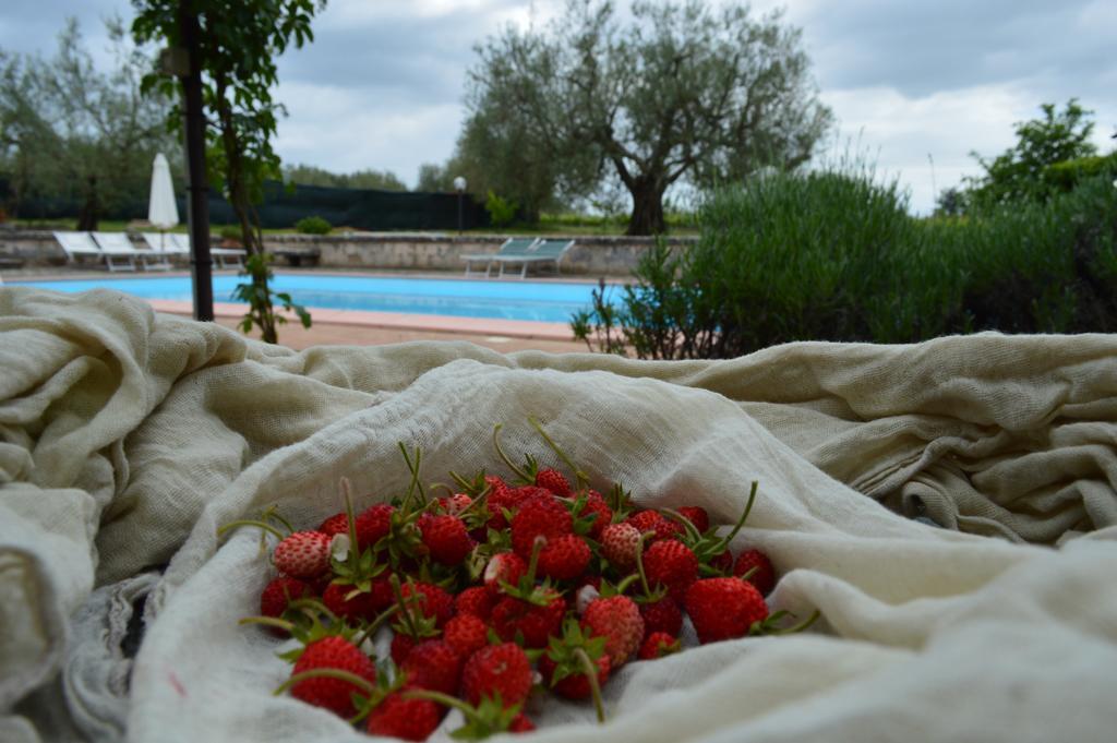 Agriturismo Eco-Bio Villa Vacasio Pitigliano Buitenkant foto
