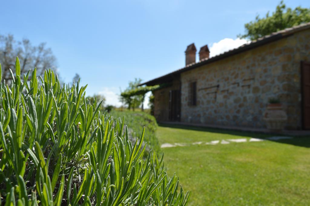 Agriturismo Eco-Bio Villa Vacasio Pitigliano Buitenkant foto